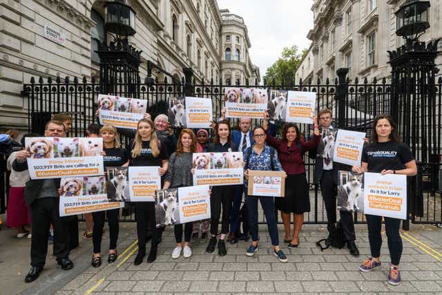 <p>Campaigners for an animal sentience bill, which will recognise that animals have the capacity to experience feelings, deliver a petition to parliament</p>