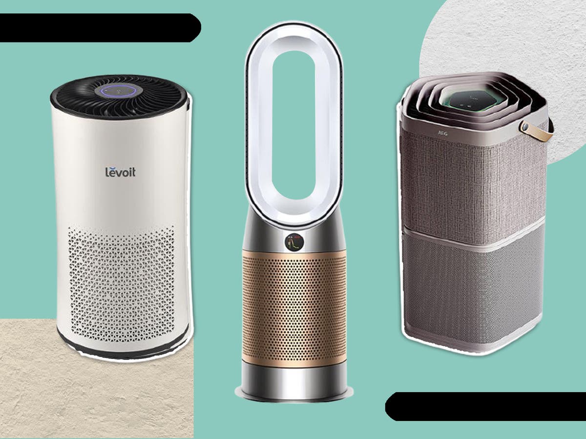 Best air purifier 2022: Help allergies and remove dust | The Independent