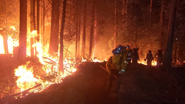 Fortuna crews on the fire lines of the Zogg Fire, September 27, 2020. Four CCC crews responded to the fire which burned more than 56,000 acres in Tehama and Shasta Counties, destroyed 204 structures, and killed four people