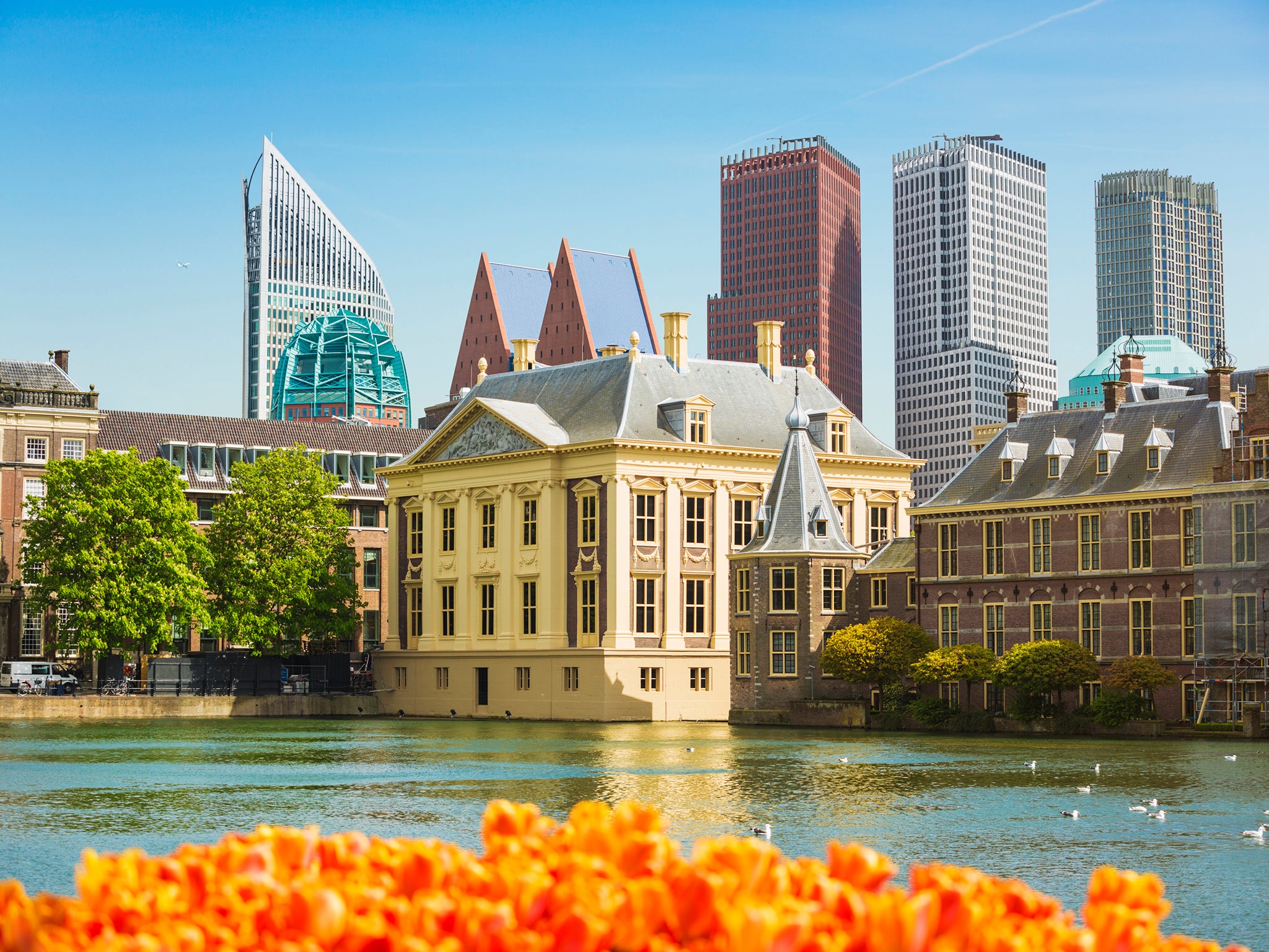 The Hague is a wonderful city often overlooked in favour of Amsterdam