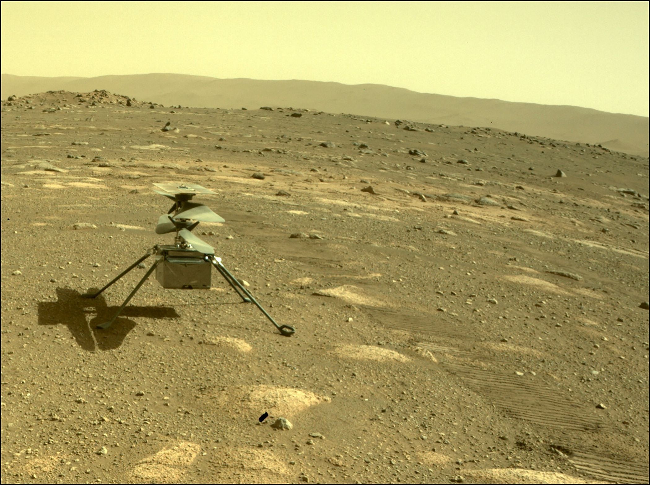 Ingenuity seen from the Perseverance rover on Mars last month