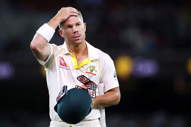 <p>Australian David Warner has been dropped from the Sunrisers Hyderabad line-up</p>