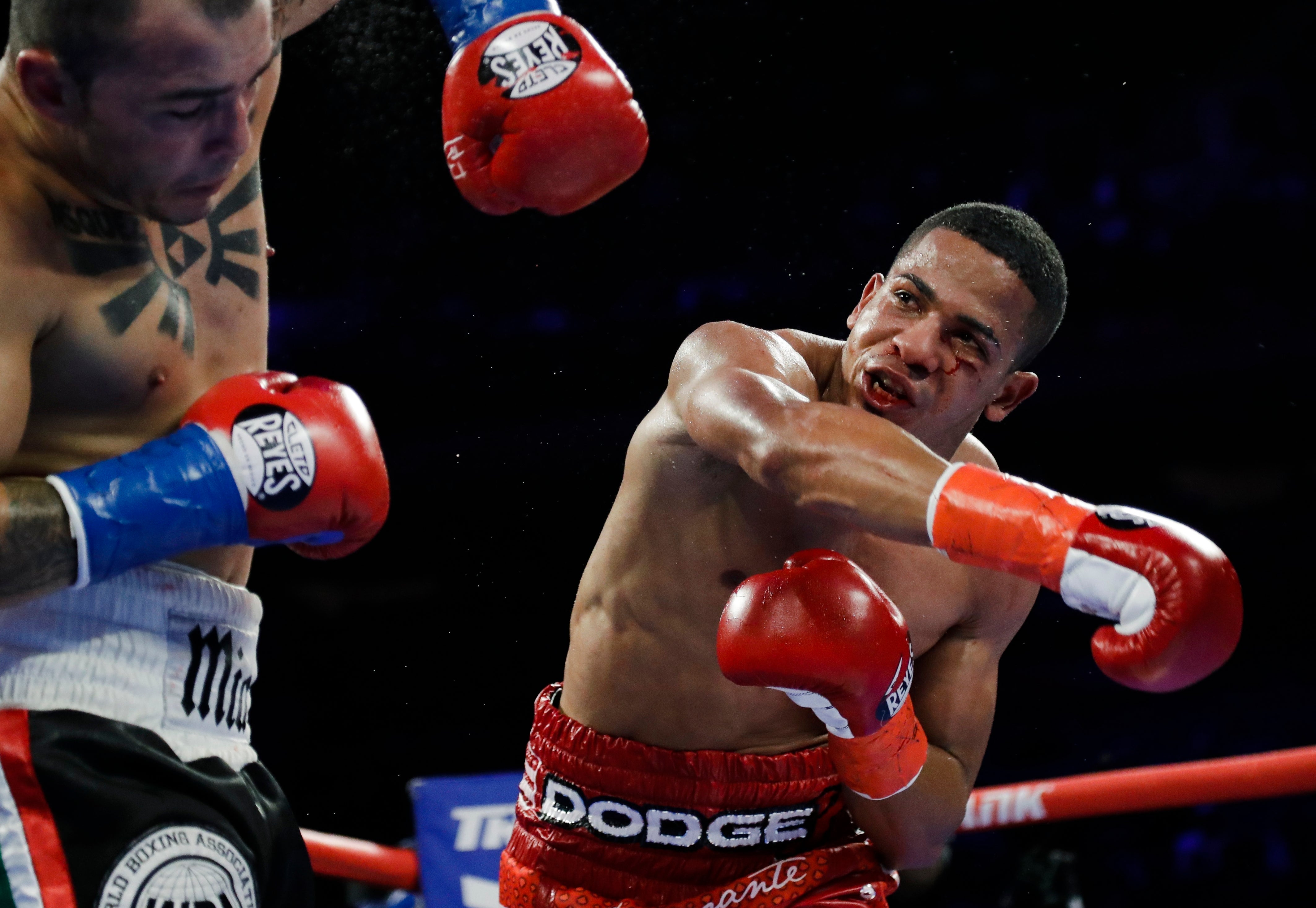 Puerto Rican boxer Felix Verdejo turns himself in after lover found dead The Independent image picture