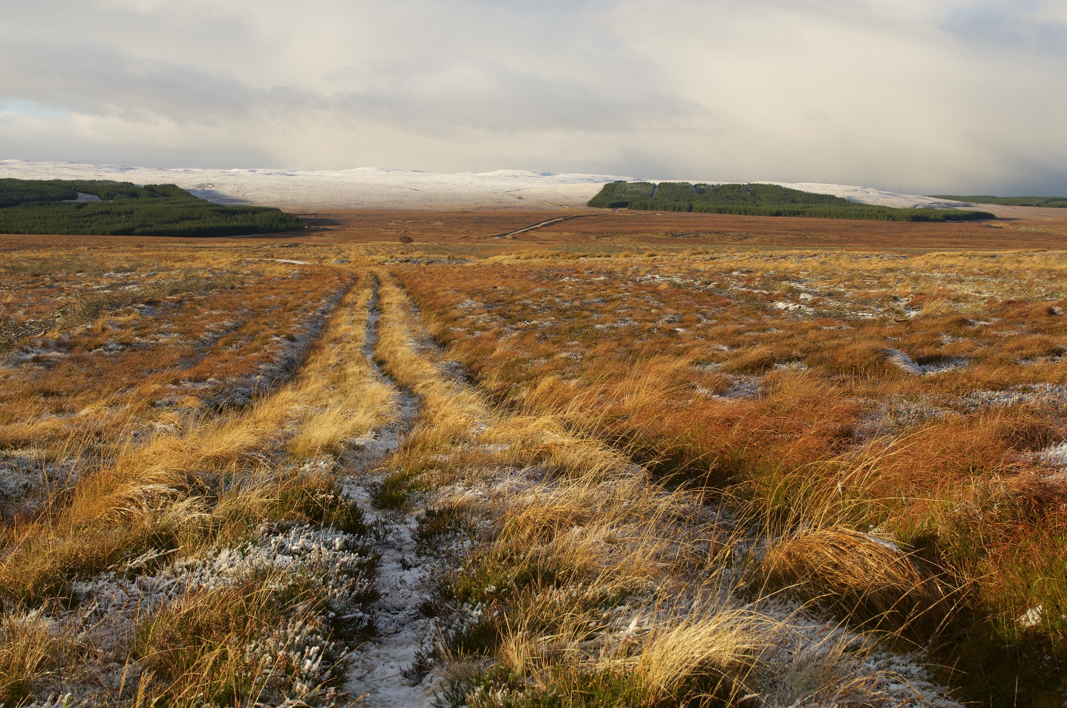 Yorkshire contains 27% of UK peat, an important store of carbon