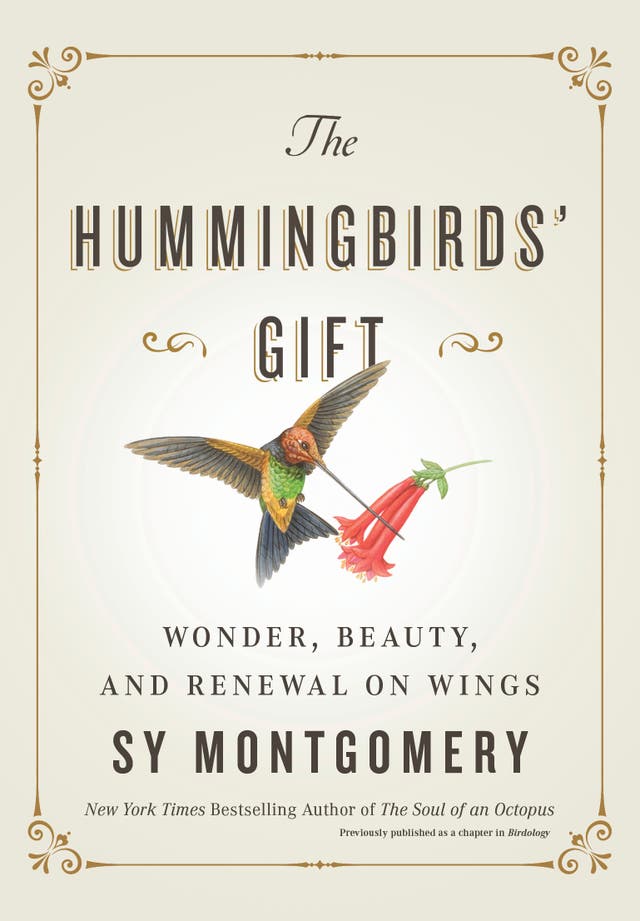 Book Review - The Hummingbirds' Gift