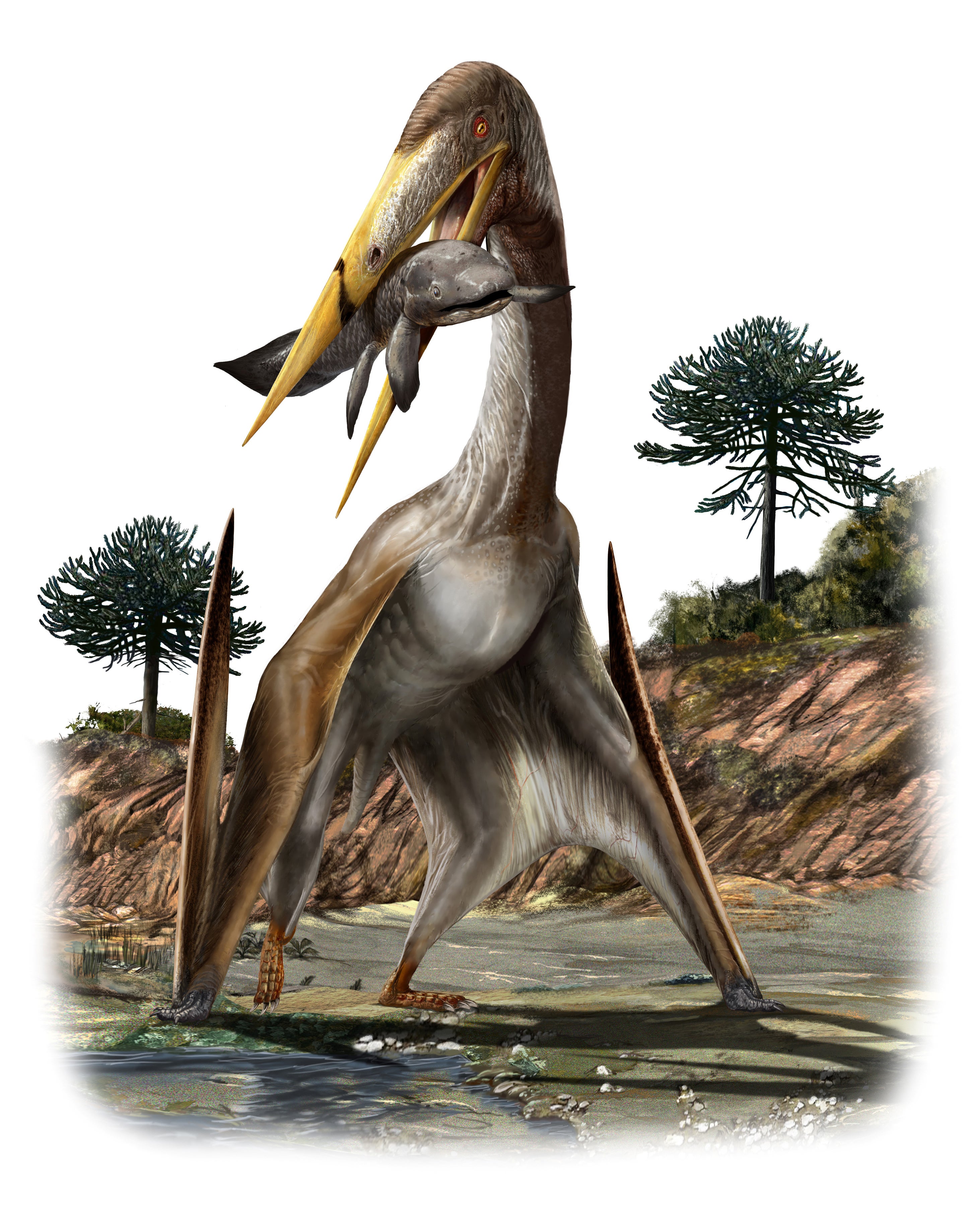 The azhdarchids’ neck structure has no parallel elsewhere in the animal kingdom