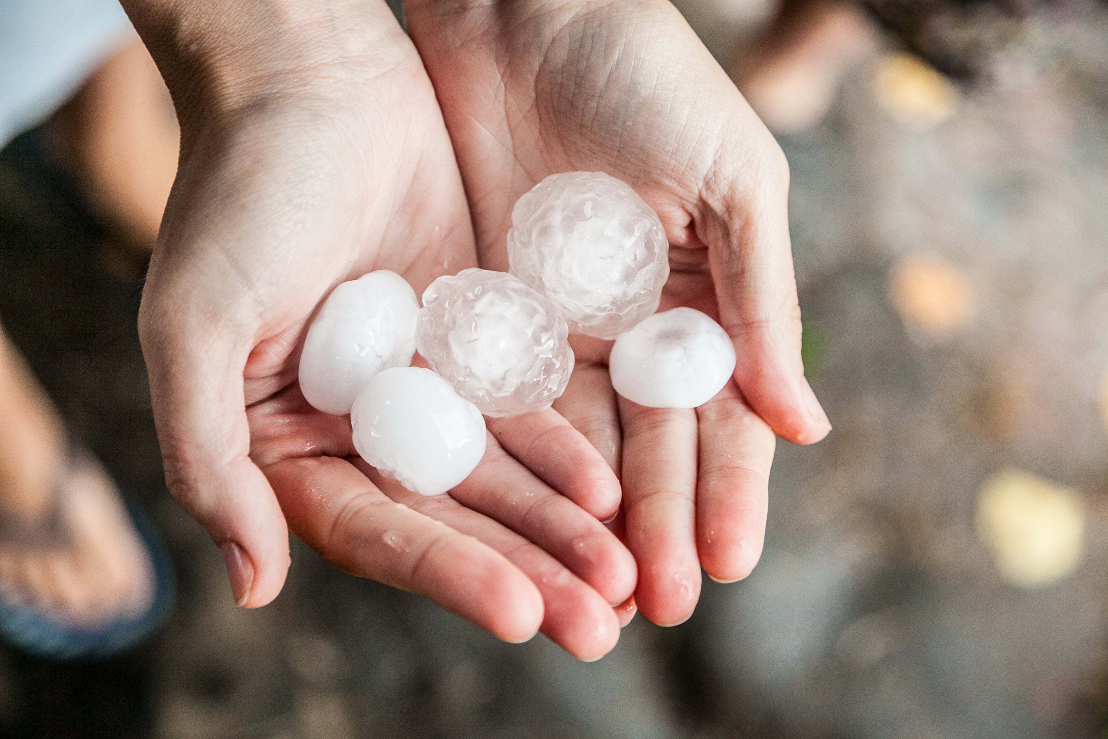 <p>Hail is so strong it breaks through roof of Walmart store</p>