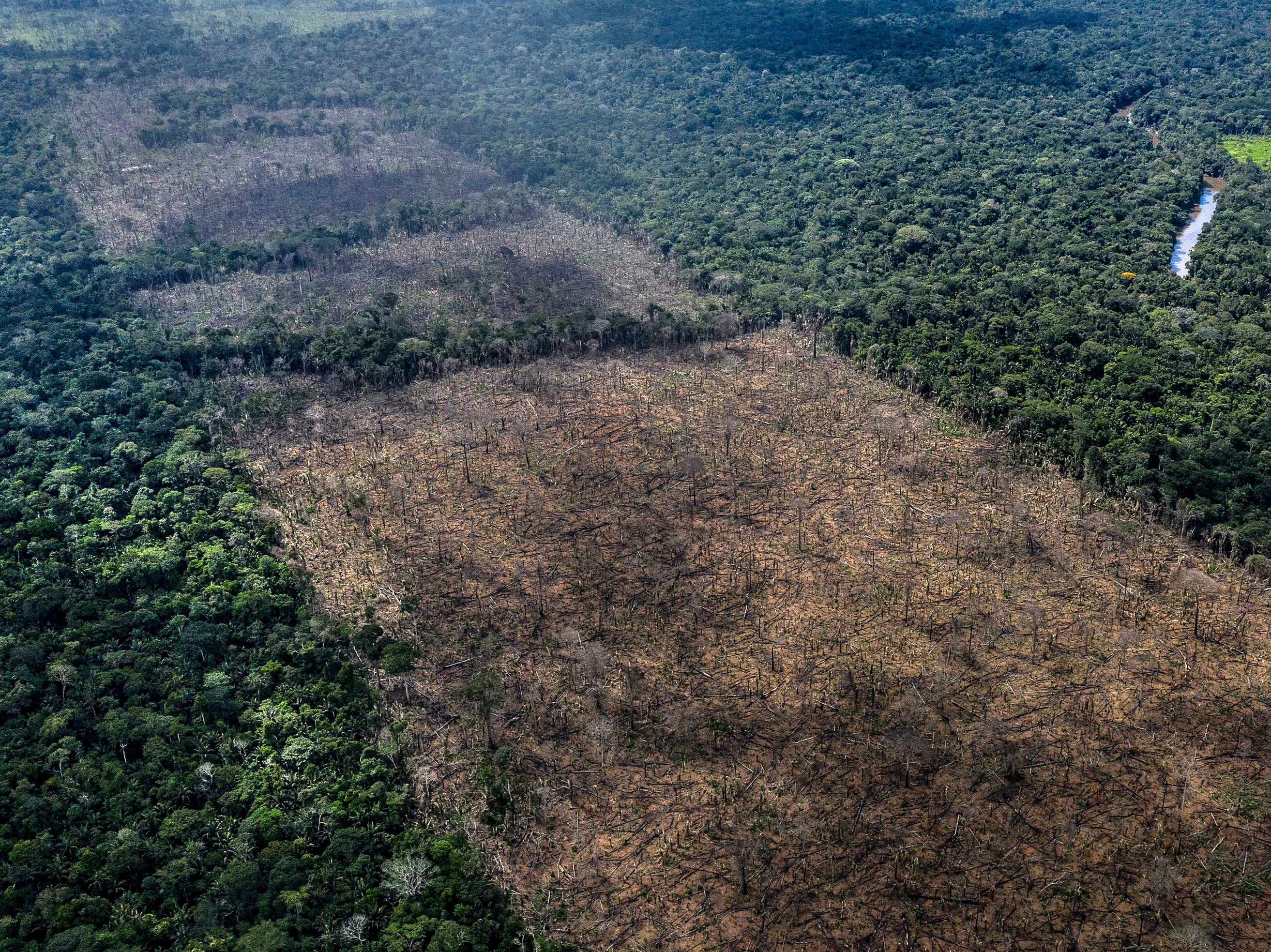 British supermarkets have threatened to boycott Brazilian products if the country passes a law which threatens the Amazon rainforest