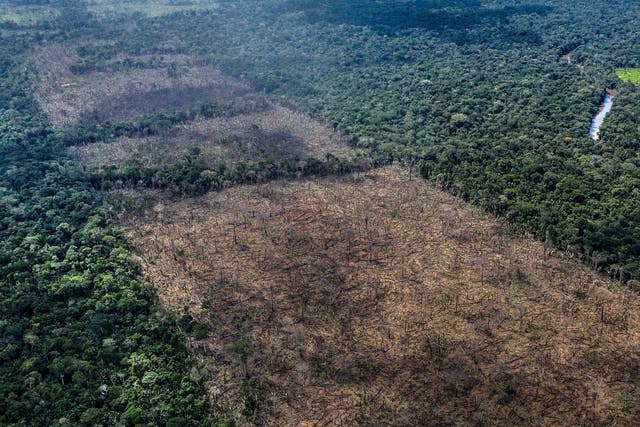 British supermarkets have threatened to boycott Brazilian products if the country passes a law which threatens the Amazon rainforest