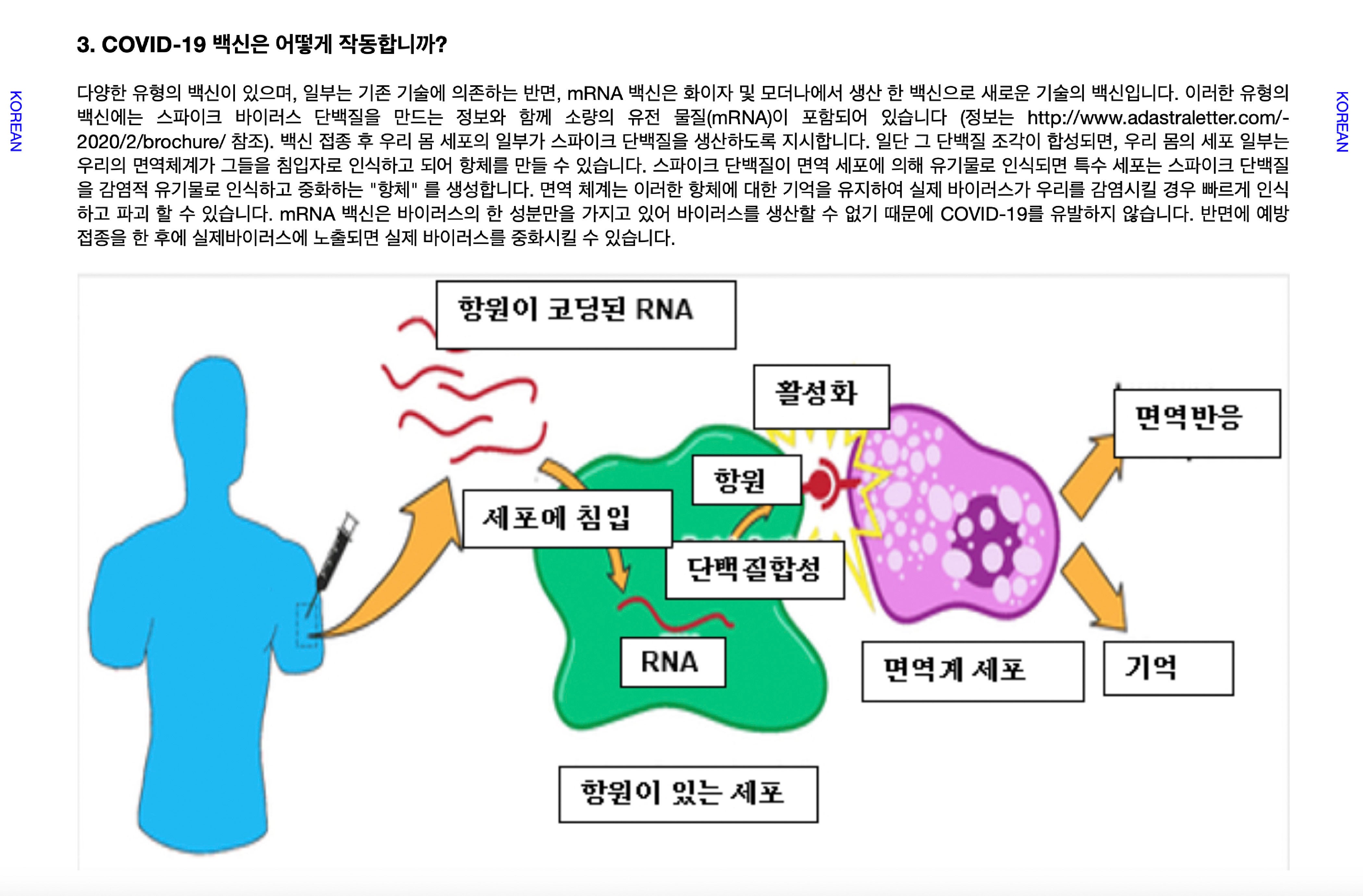 Virus Outbreak-One Good Thing-Student Brochures