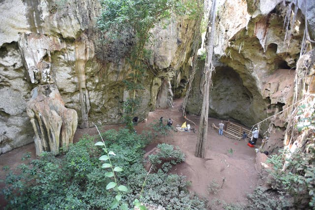 <p>General view of cave site of Panga ya Saidi where burial was unearthed</p>