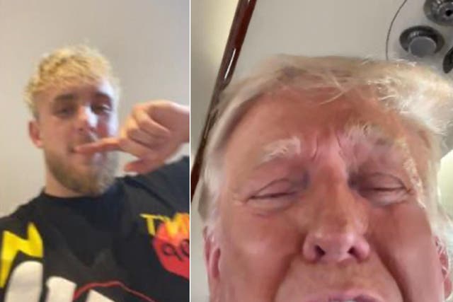 Jake Paul reveló una conversación de FaceTime con Donald Trump