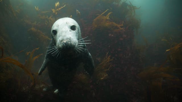 <p>Bucket-list experiences are closer to home than you think</p>