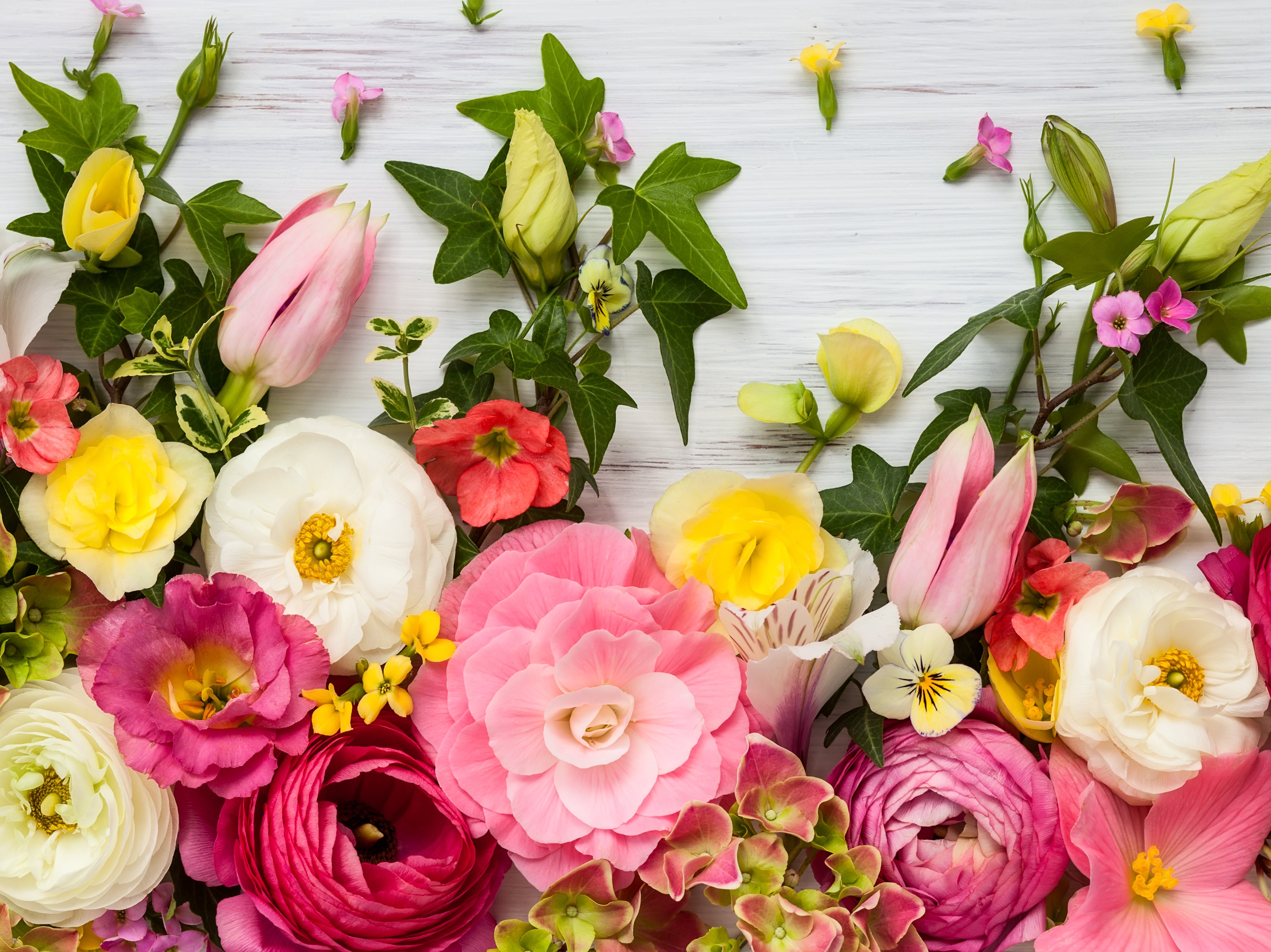 19 epic Mother’s Day fails from people who had the very best intentions