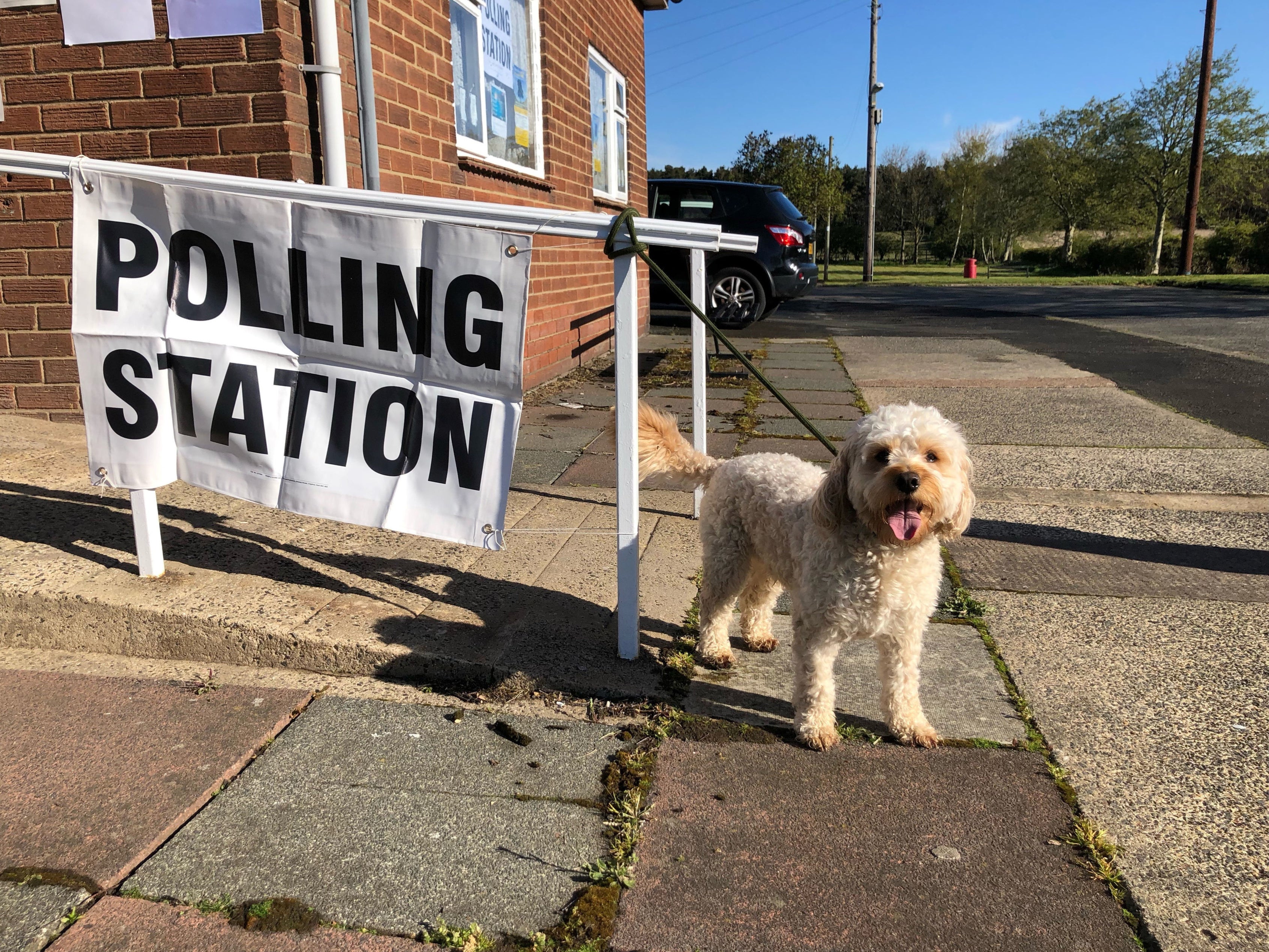 Reggie the two-yea-old Cockapoo outside a polling station in Chester-le-Street, County Durham