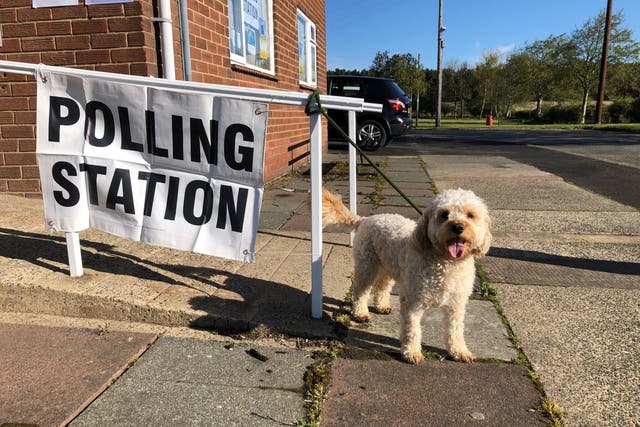 Reggie the two-yea-old Cockapoo outside a polling station in Chester-le-Street, County Durham