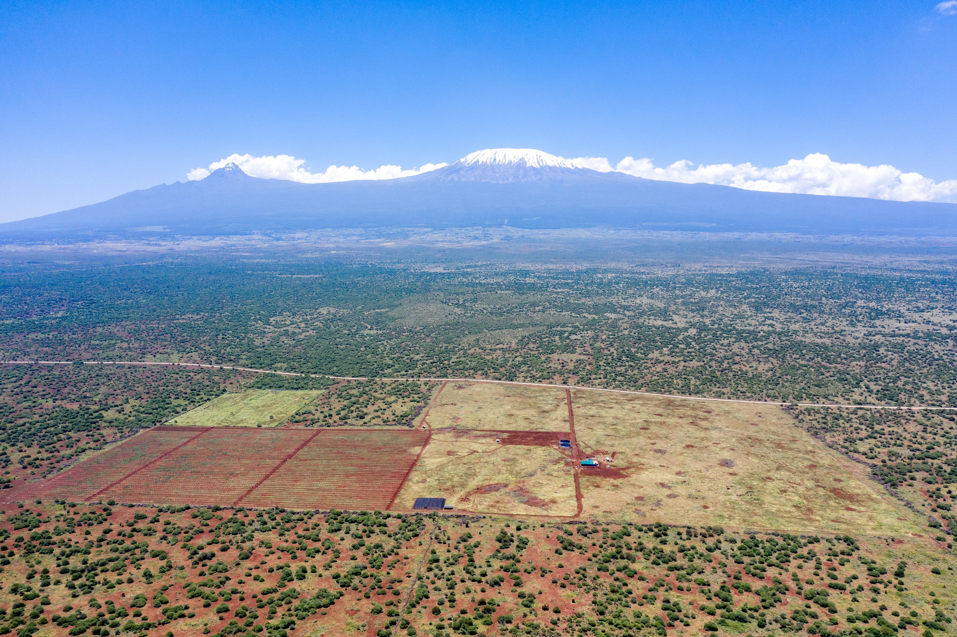 KiliAvo’s farm lies in the middle of an elephant migration path and key Masai grazing area