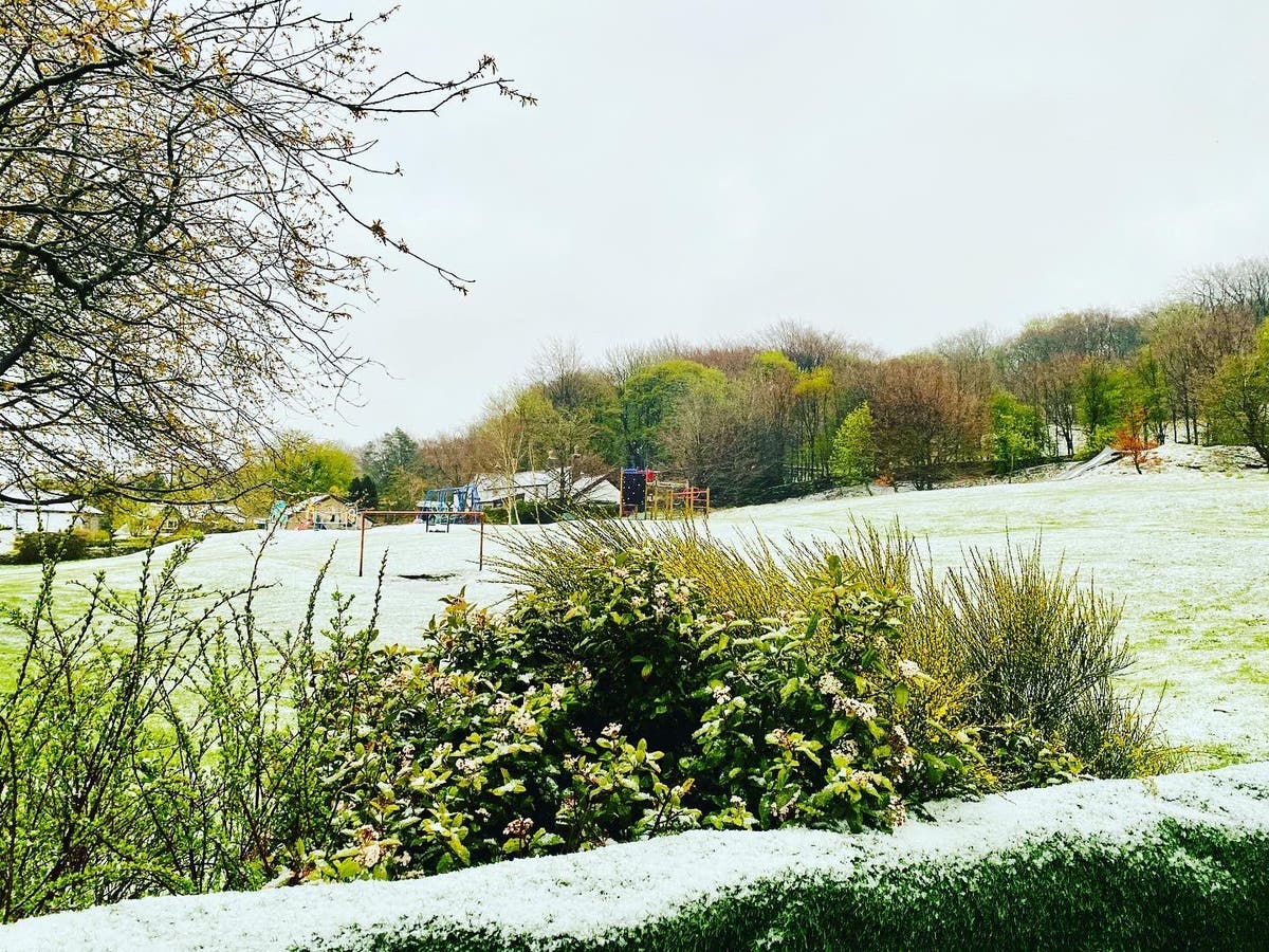 UK weather: Snow falls on parts of England as cold snap continues