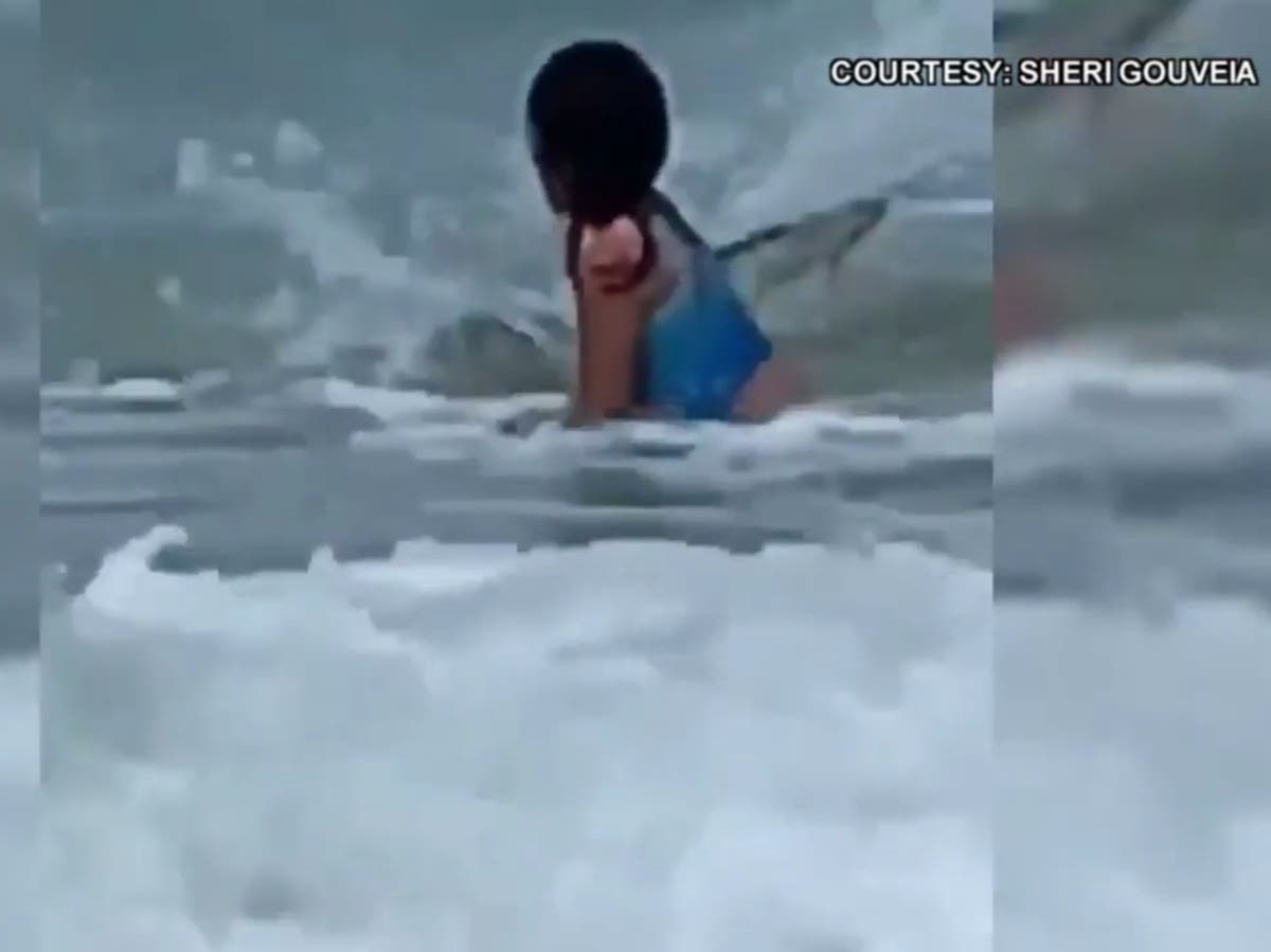 Mother shares terrifying video of shark circling her six-year-old daughter at Hawaii beach