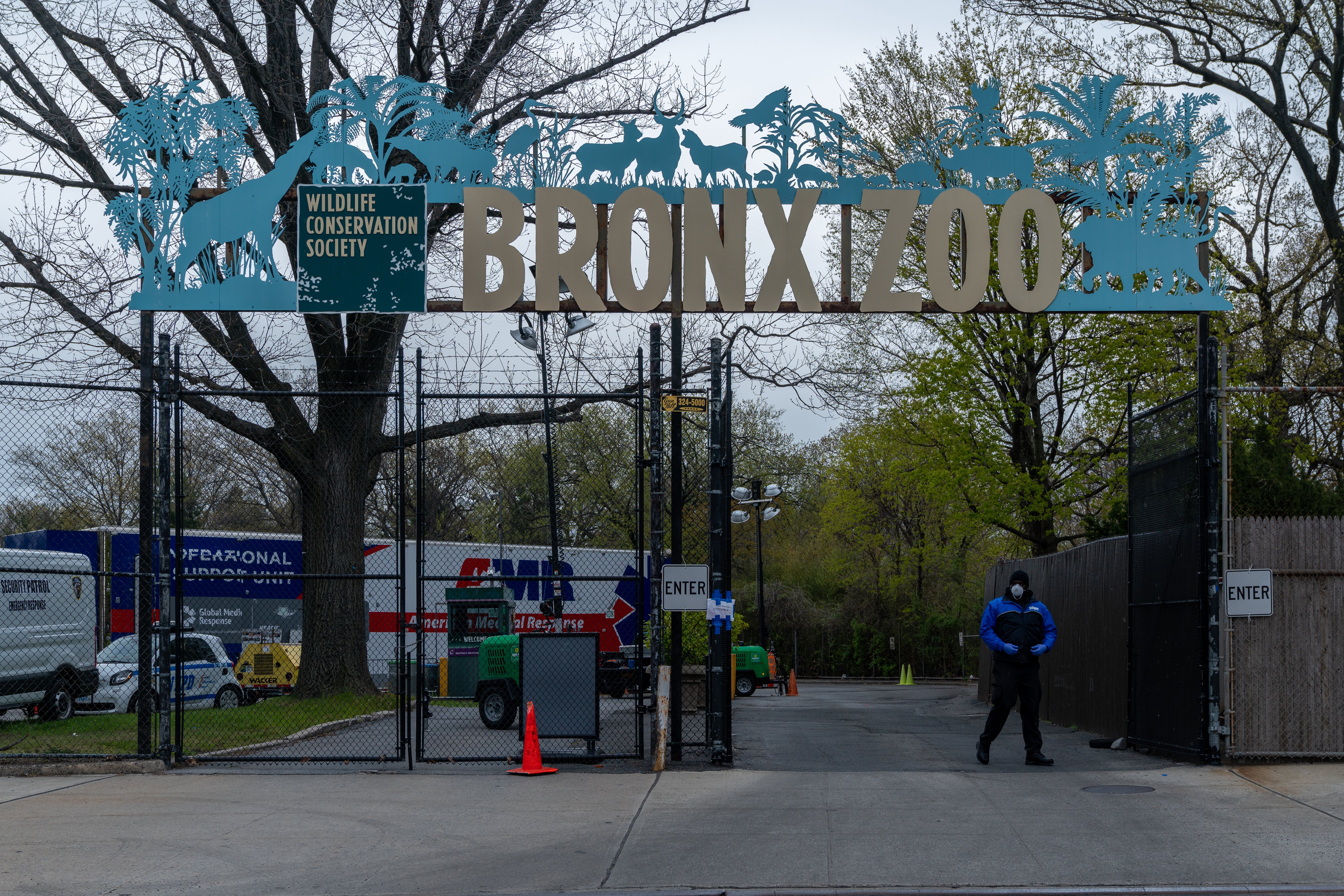 Zoo officials said Happy was assiduously cared for and had space for swimming, foraging and other natural behavior. Uprooting her from her longtime home could harm her, the zoo said (David Dee Delgado/Getty Images)