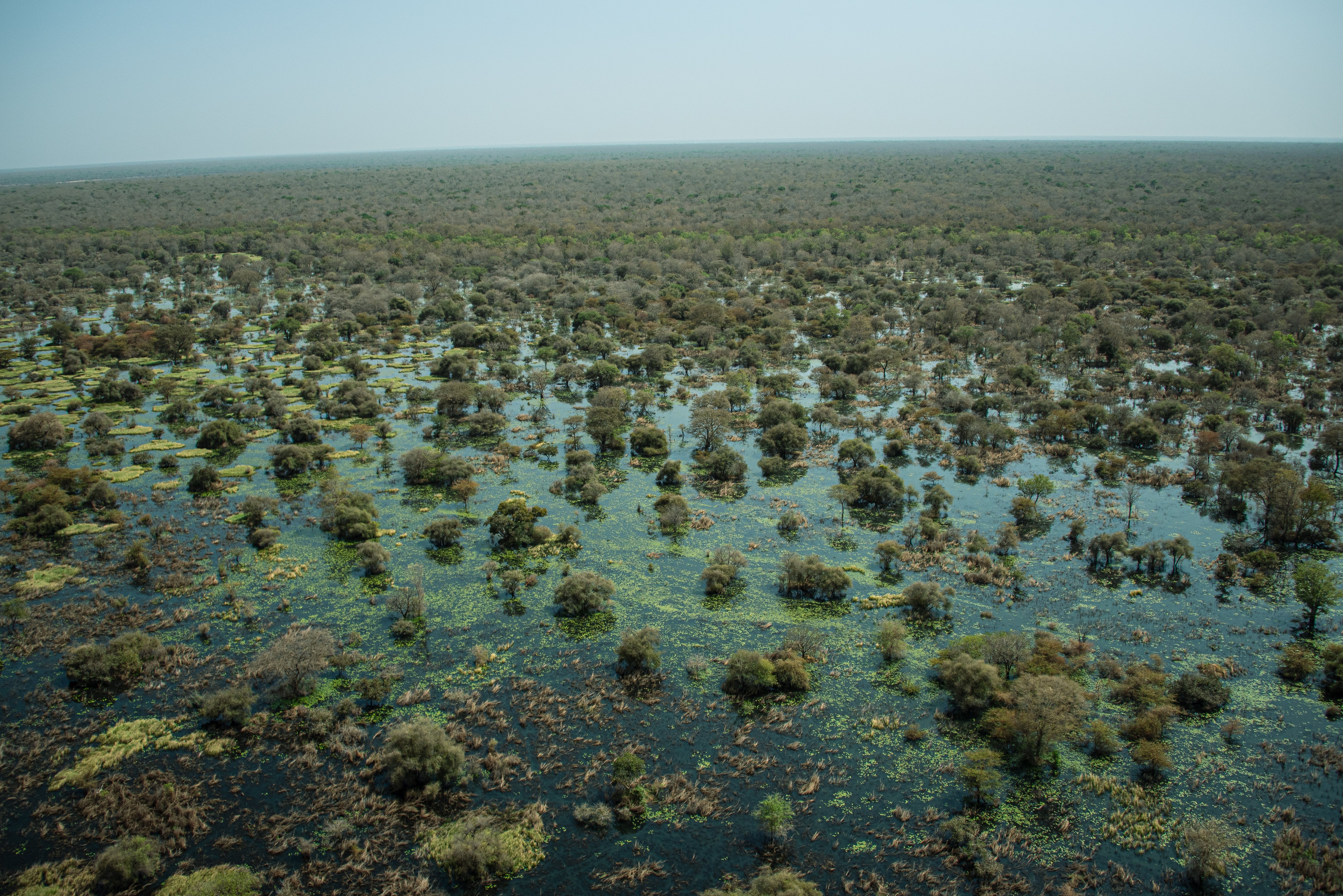 The vast expanse of the Sudd