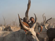 Hope that one of world’s most endangered species lives on in South Sudan’s vast wilderness 