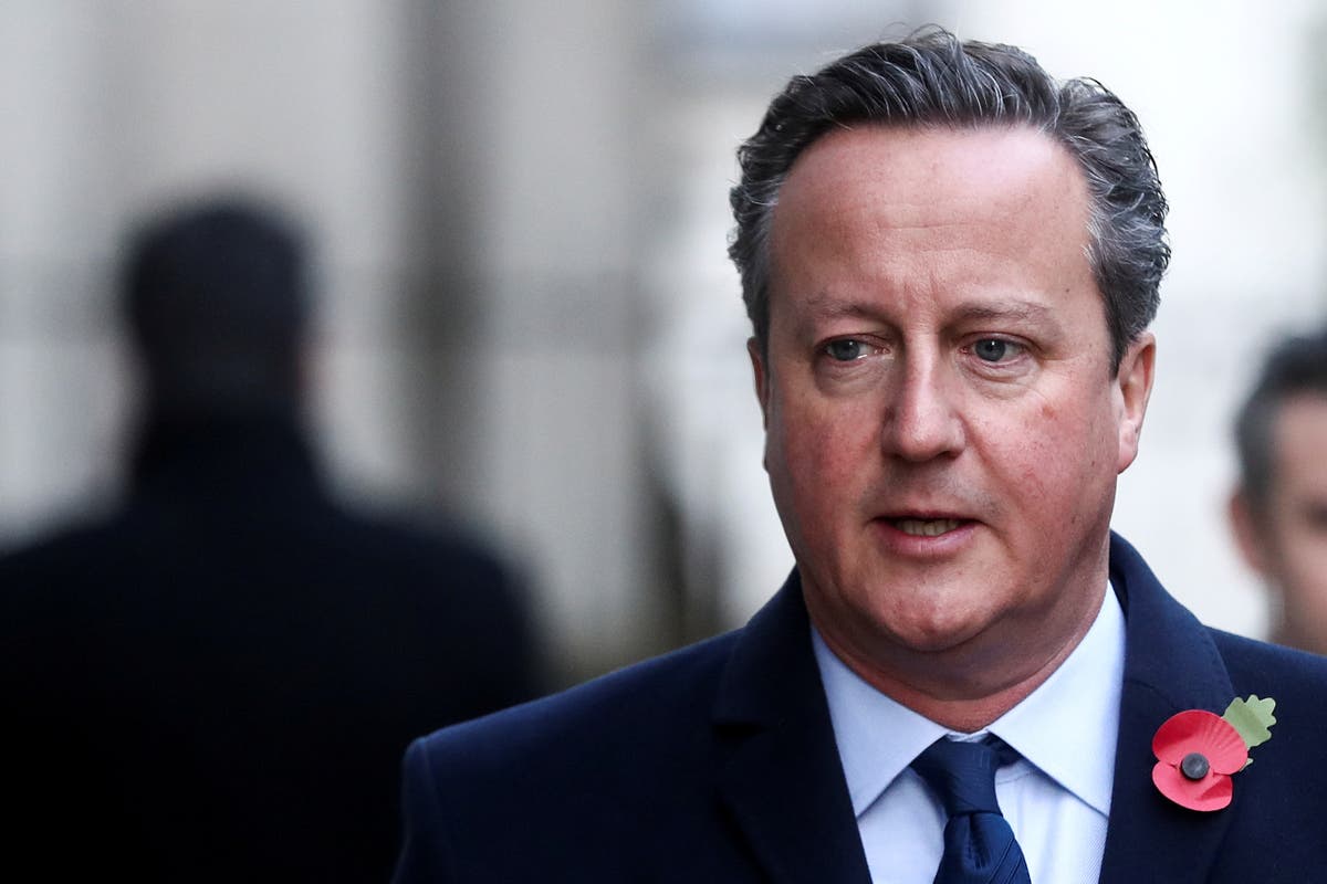 David Cameron faces grilling by MPs over Greensill lobbying