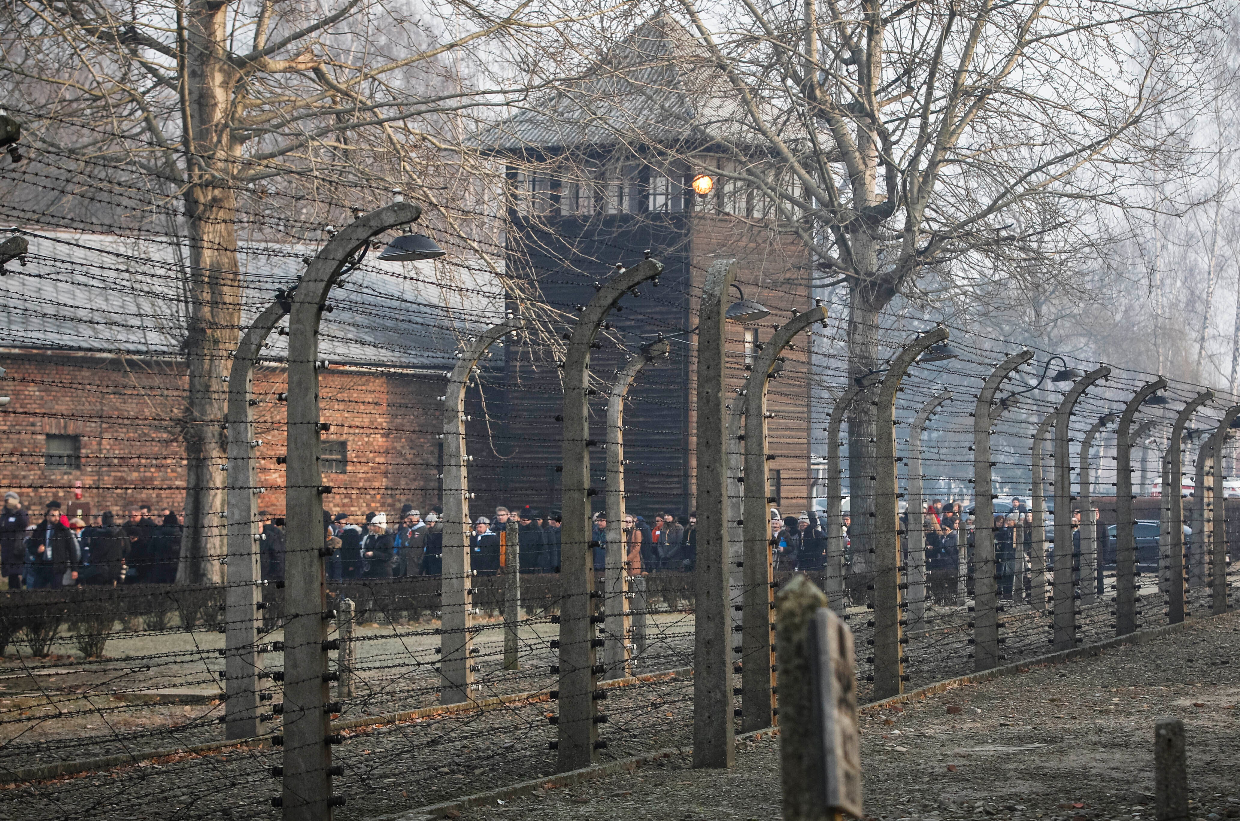 TripAdvisor Auschwitz Review