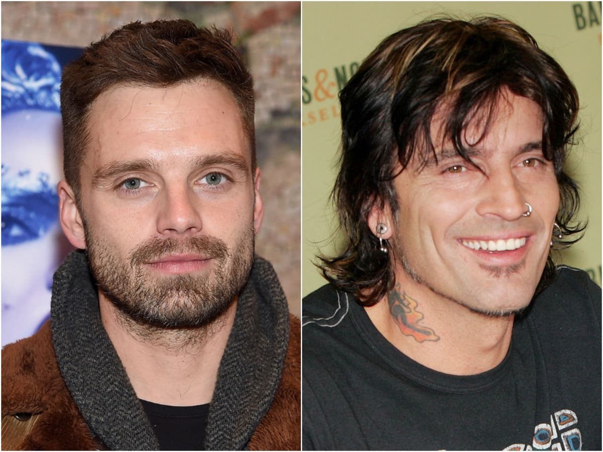 Sebastian Stan: Avengers star identical to Tommy Lee in new Pamela Anderson  series | The Independent