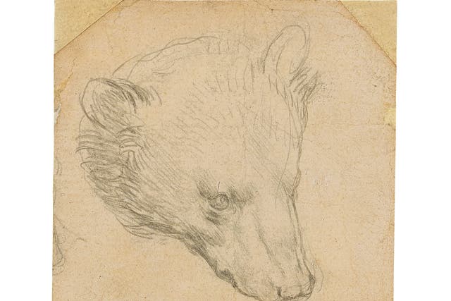 ‘Head of a Bear’ by Leonardo da Vinci