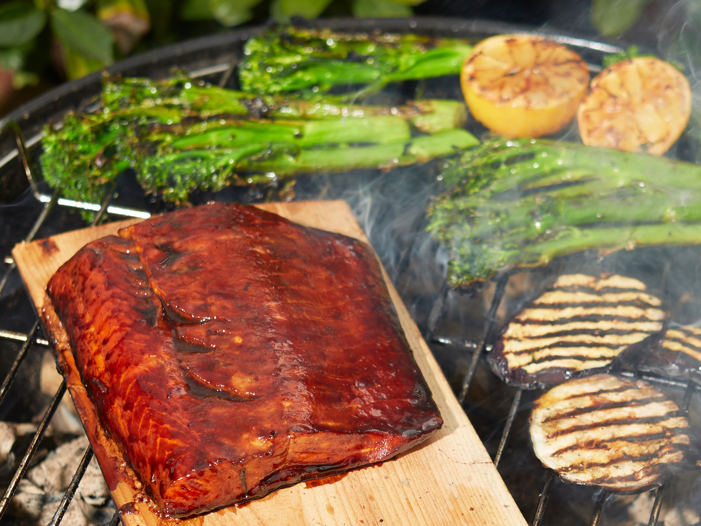 Cinnamon teryaki salmon