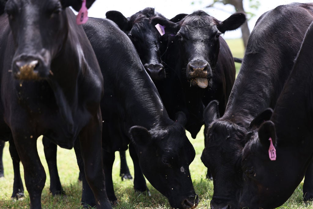A new study has linked poor air quality caused by food production in the US to an estimated 16,000 deaths annually