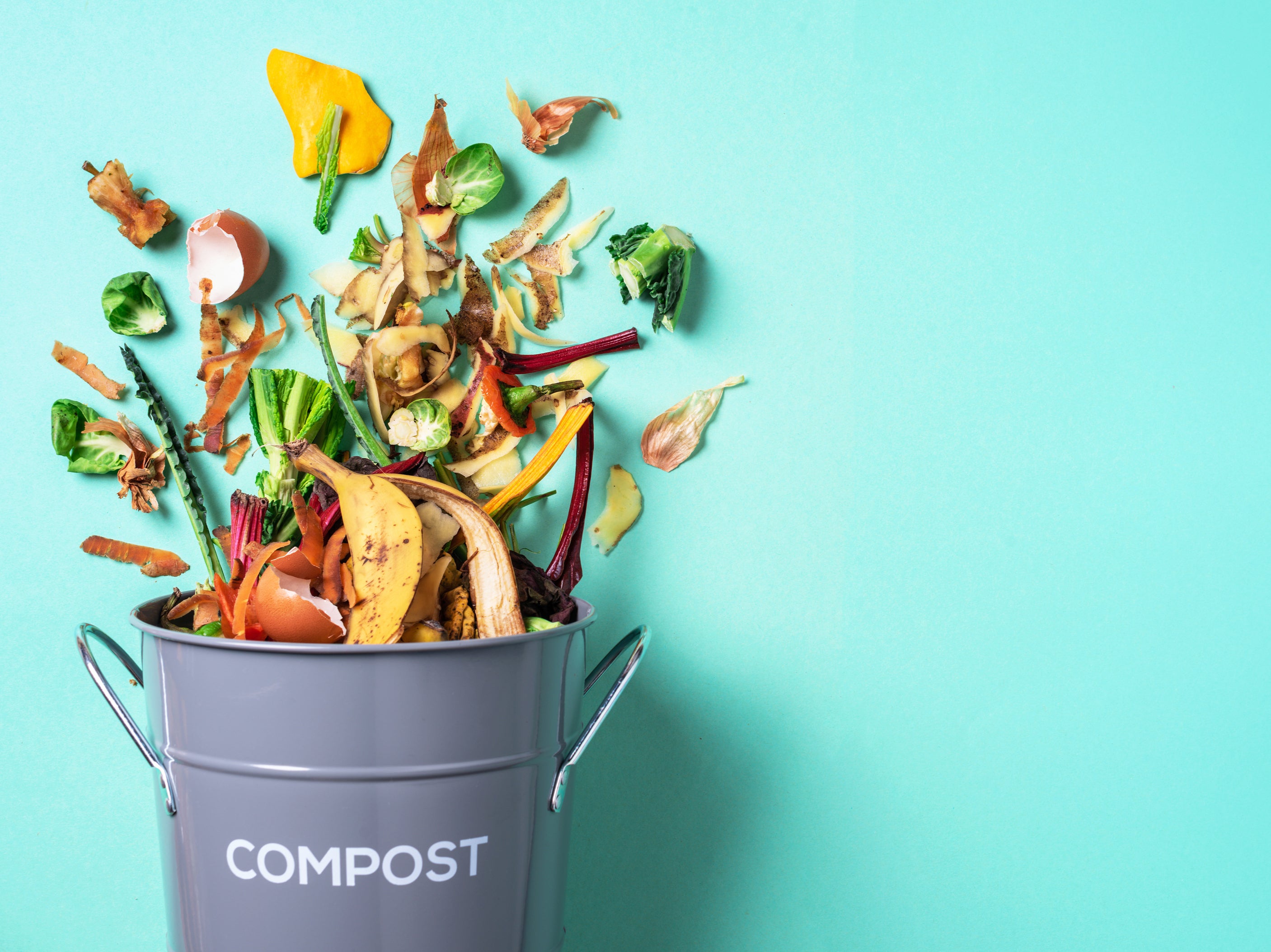 70 per cent of all food waste produced in the UK comes from our homes