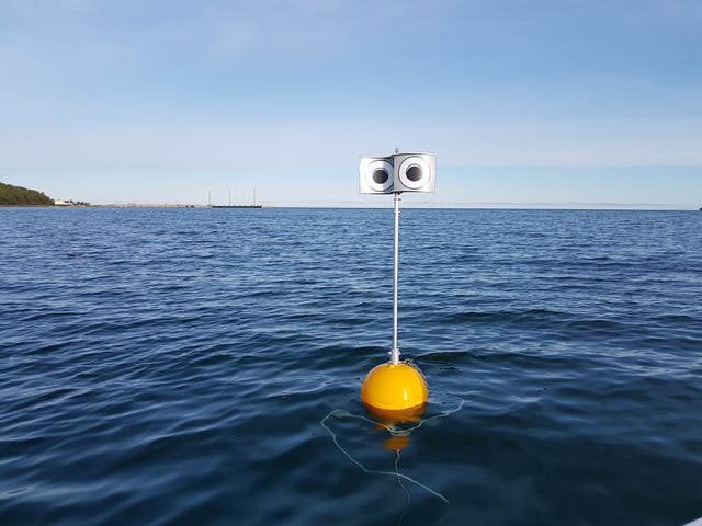 <p>A prototype looming-eyes buoy in waters off Kudema Bay in Estonia</p>