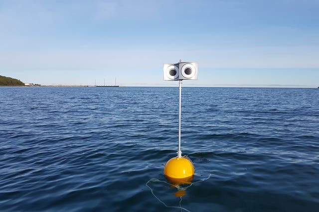 <p>A prototype looming-eyes buoy in waters off Kudema Bay in Estonia</p>