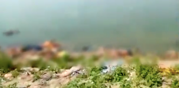 Screengrab from the video of Chausa river bank where dozens of bodies were seen floating near the bank of the river Ganges