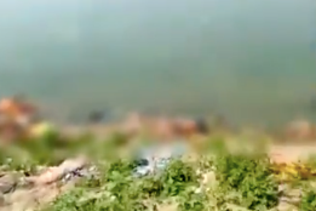 <p>Screengrab from the video of Chausa river bank where dozens of bodies were seen floating near the bank of the river Ganges</p>