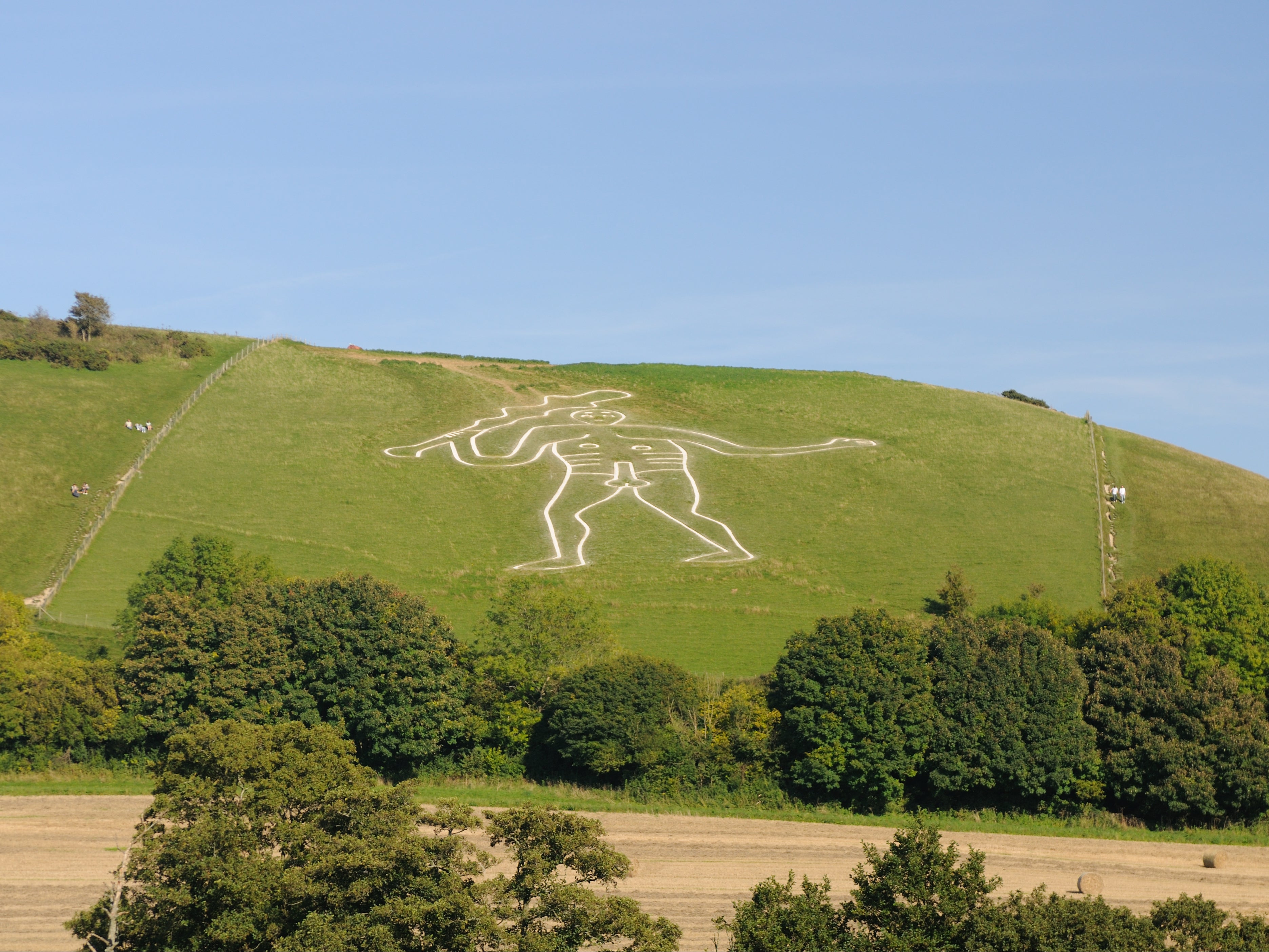 The giant, carved in solid lines from the chalk bedrock, measures in at 55 metres high, and carries a huge knobbled club, which measures 37 metres in length