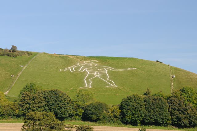 <p>The giant, carved in solid lines from the chalk bedrock, measures in at 55 metres high, and carries a huge knobbled club, which measures 37 metres in length</p>