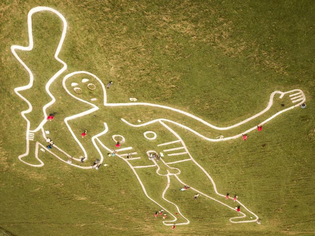 Volunteers work to repair and refresh the Cerne Abbas Giant in Dorset, where people are working with the National Trust to re-chalk the giant figure