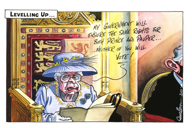 <p>The Queen in the House of Lords chamber during the state opening of parliament on Tuesday</p>