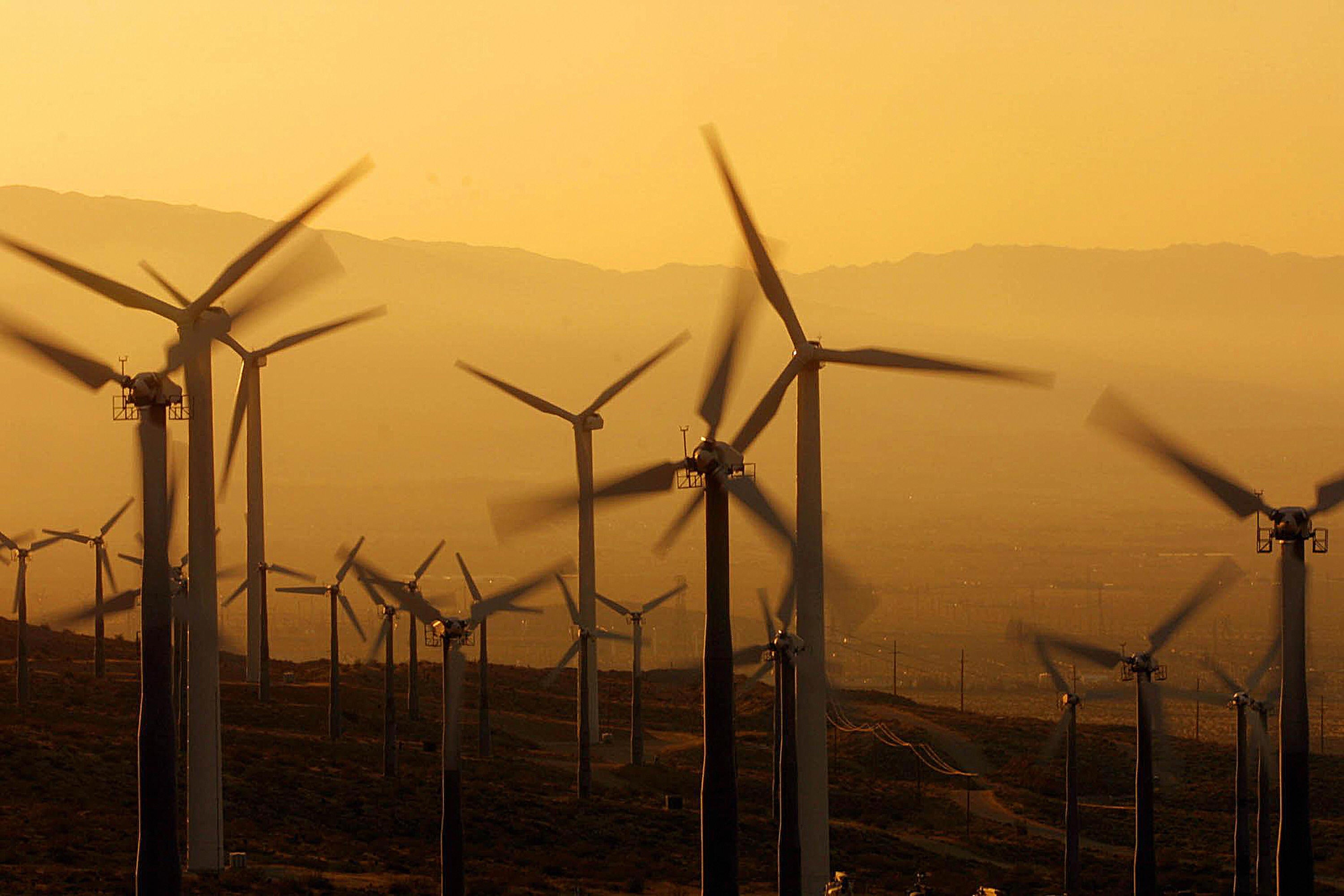 Ex-president Donald Trump issued a statement on Tuesday warning against windmills that ‘kill birds, affect the sea, ruin the landscape, and create disasters for navigation’