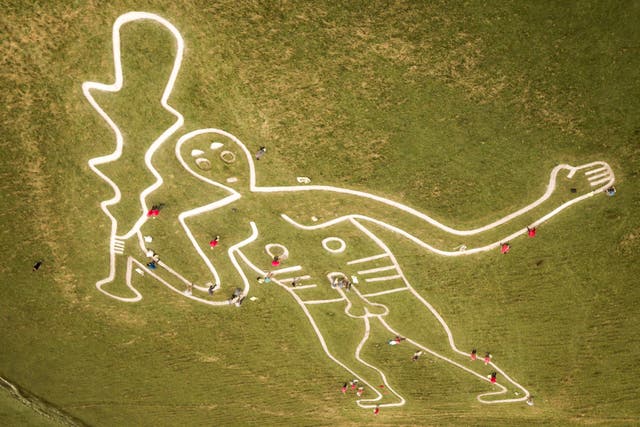 <p>Volunteers work to restore the Cerne Abbas Giant</p>