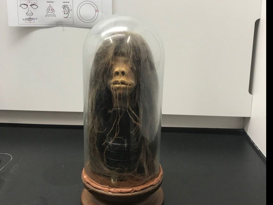 A movie prop used in a 1979 film has been proven to be a real human head after tests done at Mercer University in Georgia.