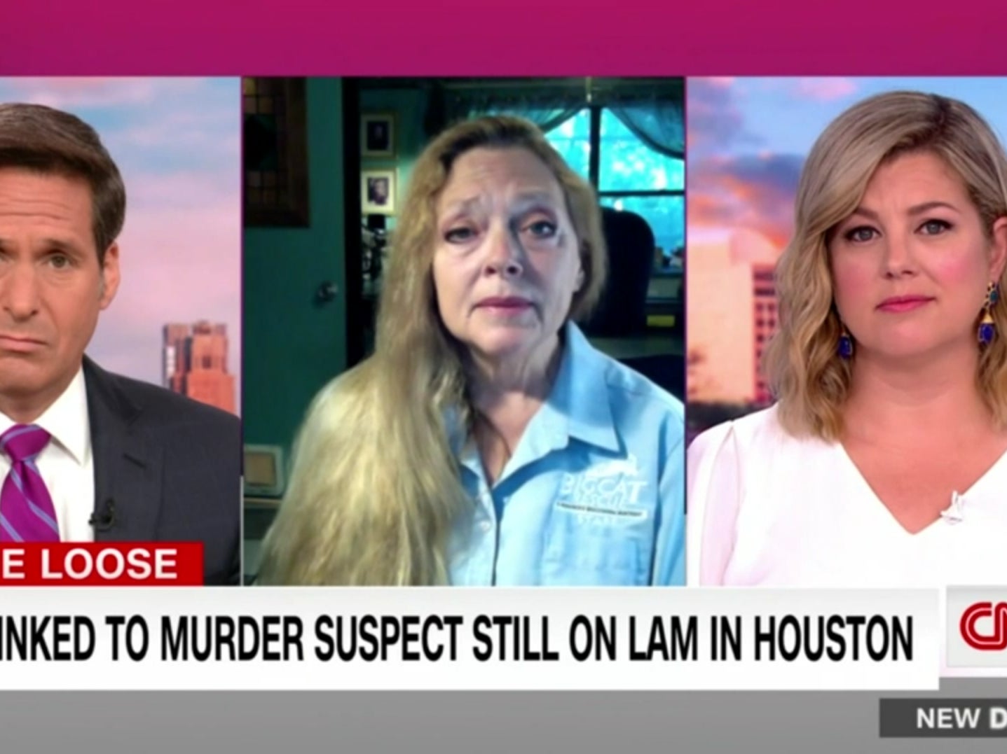 <p>‘Tiger King’ star Carole Baskin appearing on CNN on Wednesday</p>