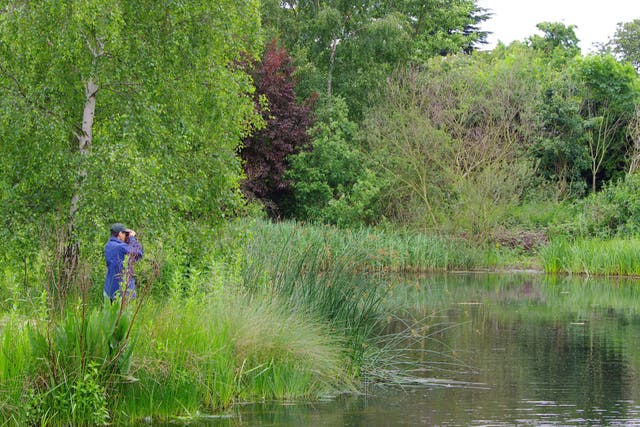  The London Wetland centre in Barnes will host hundreds of people in an effort to improve their mental health through spending time in wetland environments