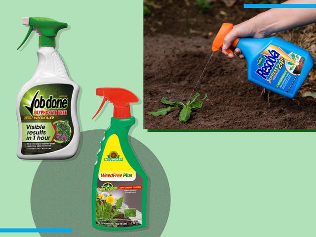 Best Weed Killer 2021 For Lawns And Garden Grass The Independent