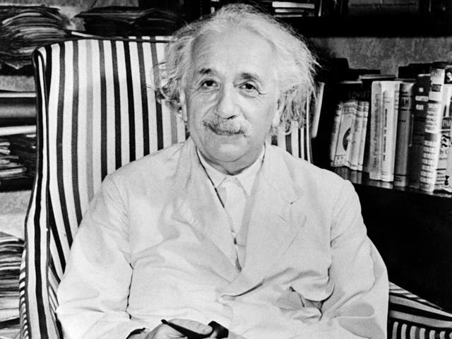 Albert Einstein suggested the study of birds and bees could help physicists understand important scientific processes