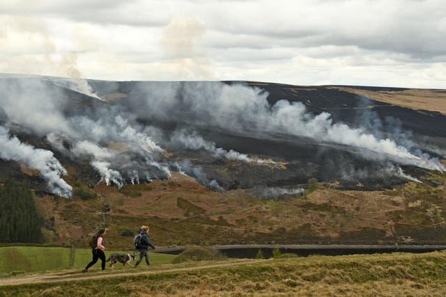 Loopholes in UK’s peatland burning policy risk embarrassing the UK ahead of Cop26, campaigners say