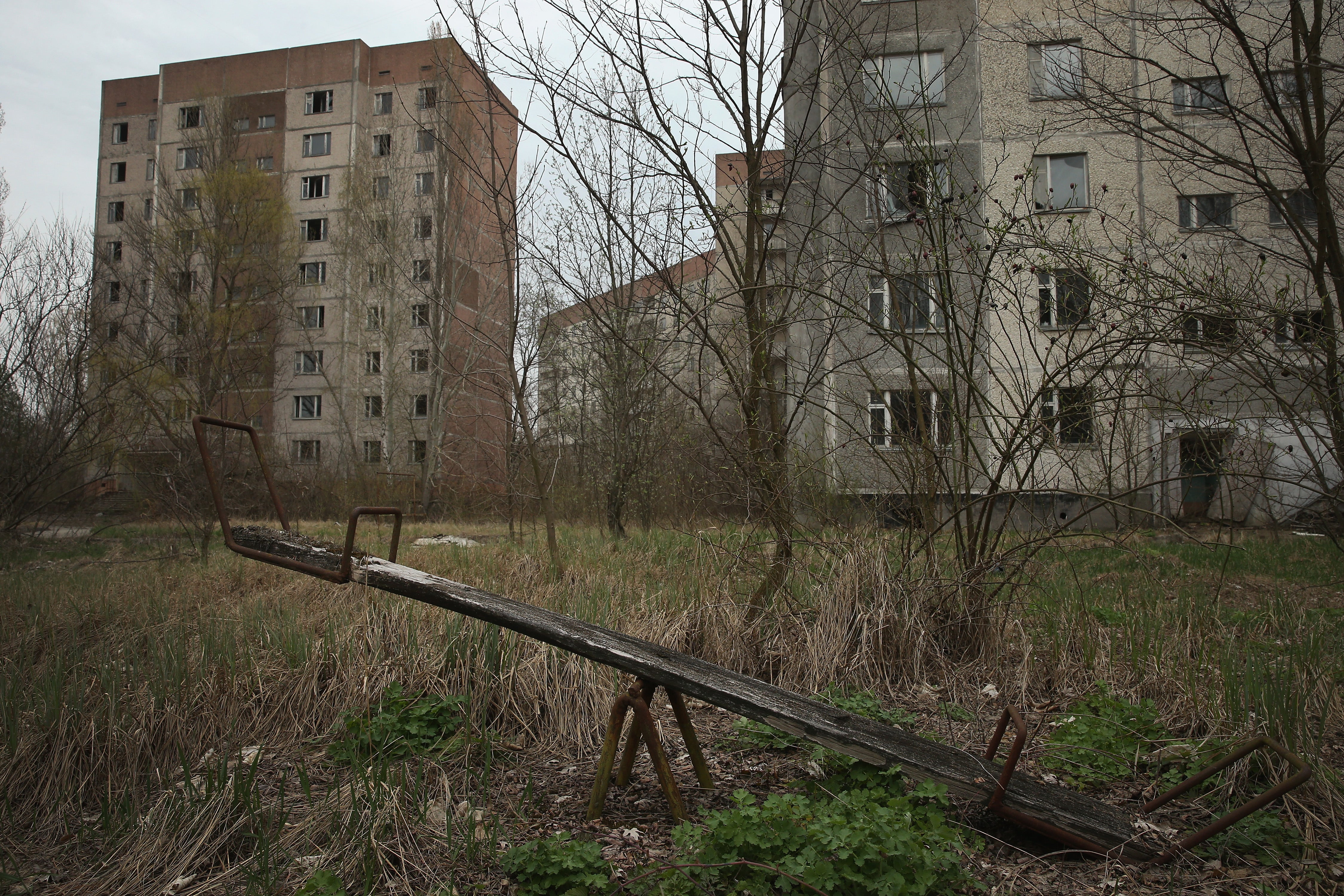 Growing and selling produce is currently illegal on the ‘officially contaminated land’